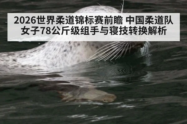 2026世界柔道锦标赛前瞻 中国柔道队女子78公斤级组手与寝技转换解析
